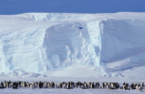  9 cuộc di cư hoang d&atilde; ngoạn mục nhất thế giới